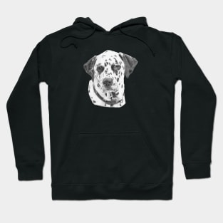 Dalmatian Hoodie